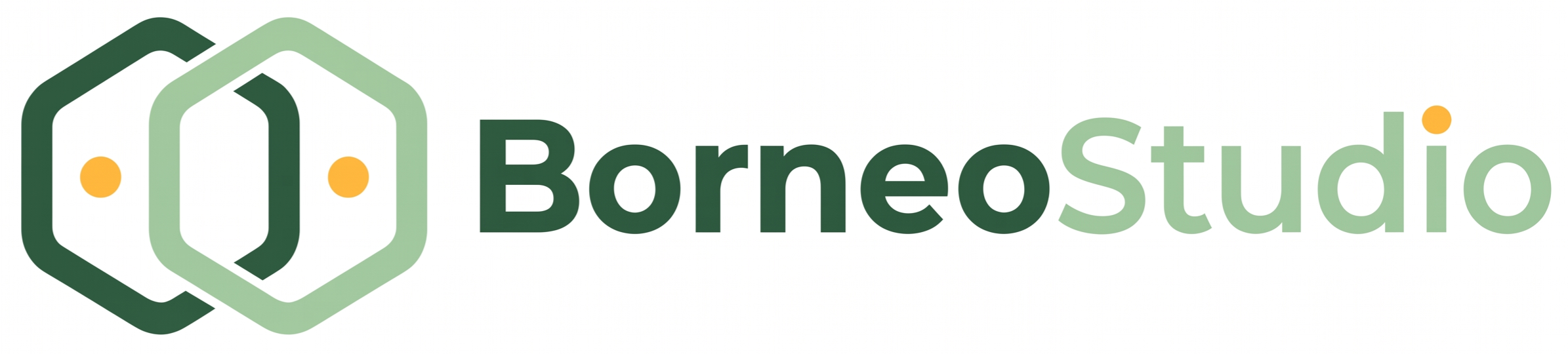 BorneoStudio Logo